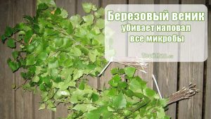 Поздравление к березовому венику Поздравление к березовому венику
