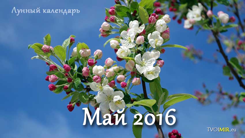 Лунный календарь на май 2016 года