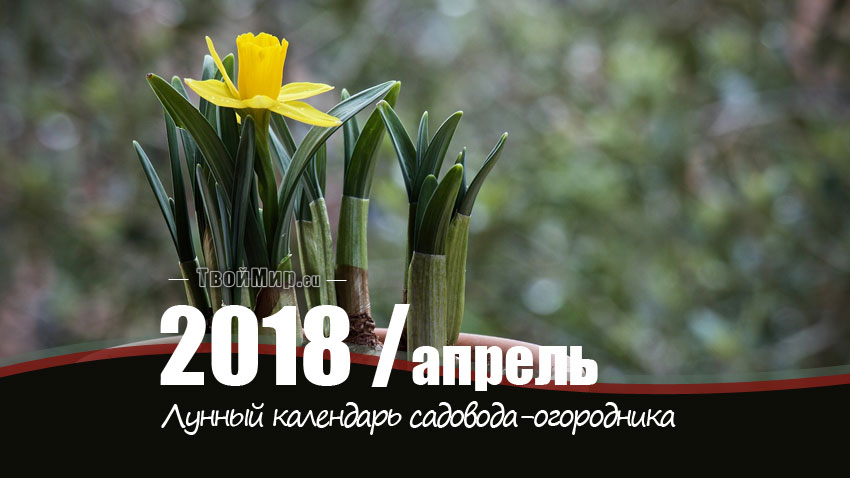 Лунный календарь садовода-огородника на апрель 2018 года
