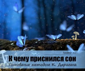 К чему приснился сон