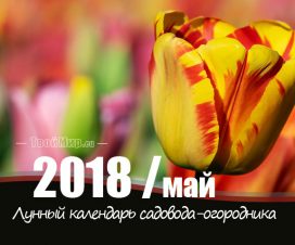 Лунный календарь садовода-огородника на май 2018 года