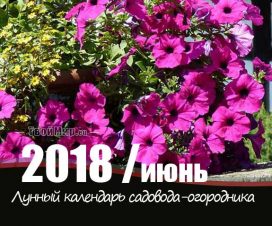 Лунный календарь садовода-огородника на июнь 2018