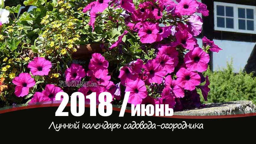 Лунный календарь садовода-огородника на июнь 2018