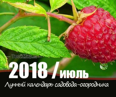 Лунный календарь садовода-огородника на июль 2018 года
