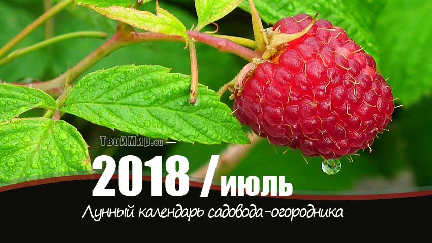 Лунный календарь садовода-огородника на июль 2018 года