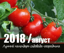 Лунный календарь садовода-огородника на август 2018 года
