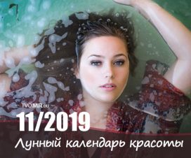 Лунный календарь стрижек и красоты на ноябрь 2019 года